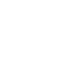 Mister Service logo